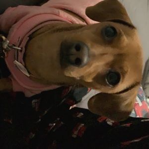 Meet your Posher, Jackie